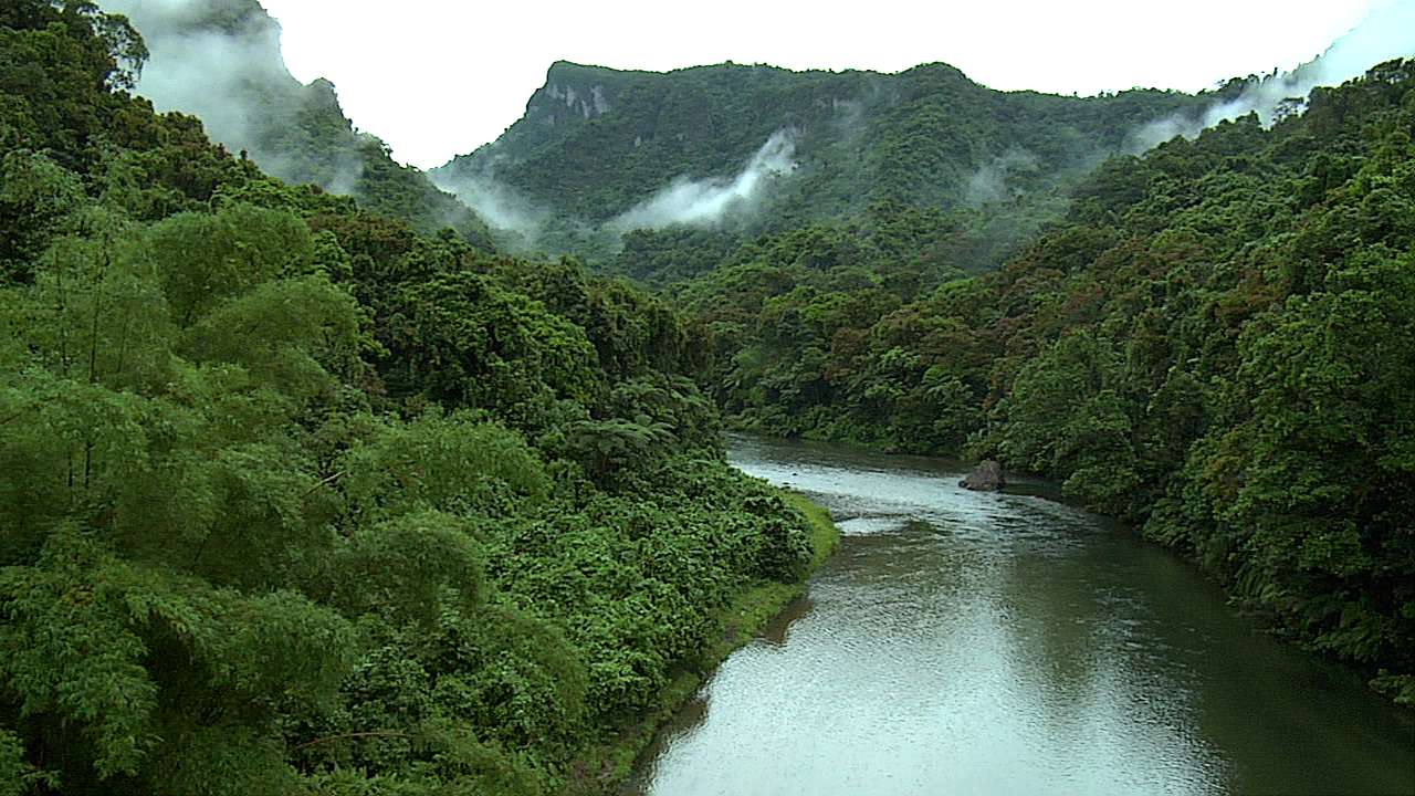 Reserva de la biosfera rio platano
